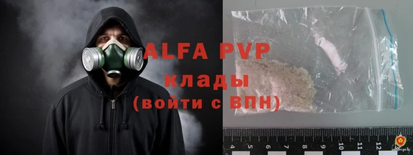 шишки Алзамай
