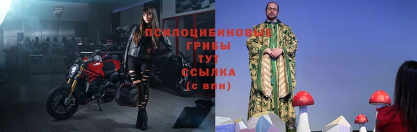 соль ск Новодвинск
