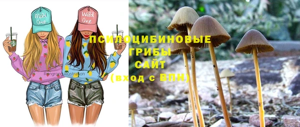 соль курить ск Абаза