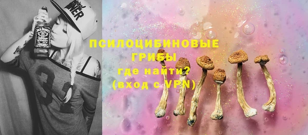 шишки Алзамай
